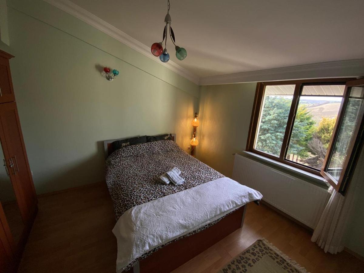 Havalimanina Yakin Orman Icinde Ferah Villa1 Arnavutkoy 外观 照片