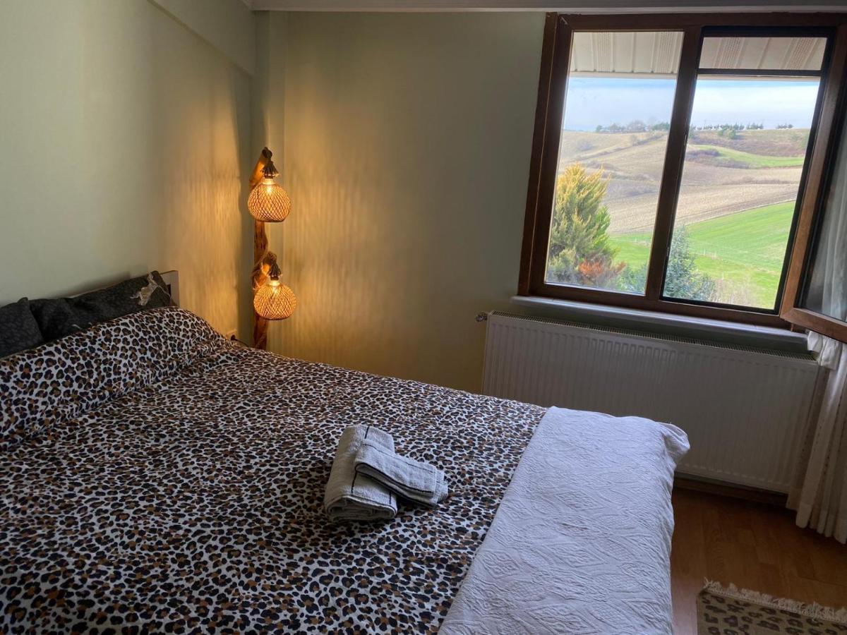 Havalimanina Yakin Orman Icinde Ferah Villa1 Arnavutkoy 外观 照片